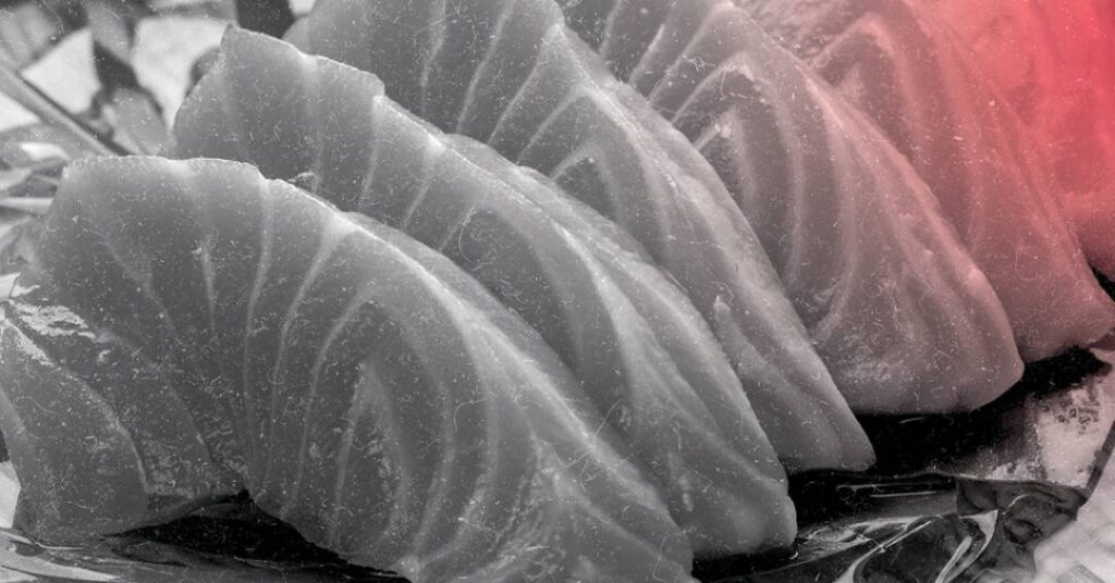 FDA libera a venda de salmão feito em laboratório