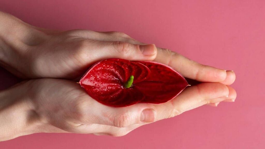 Candidíase na gravidez: sintomas, causas e cuidados recomendados