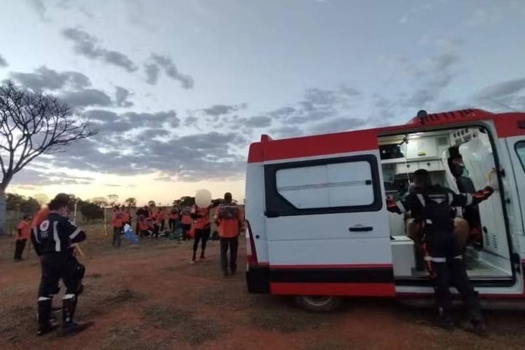 Grupo dos Legendários é atacado por abelhas em Caldas Novas (GO) – 18/08/2025 – Cotidiano