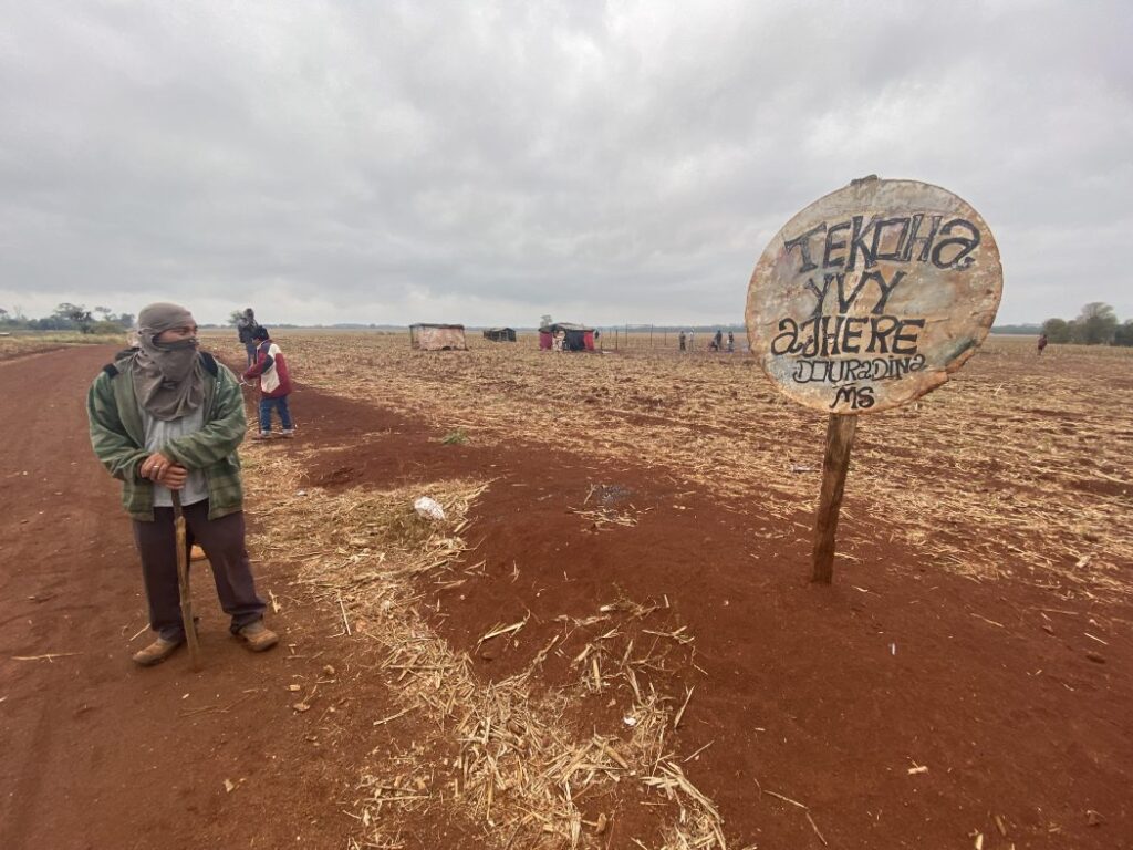 Indígenas Guarani e Kaiowá denunciam novo ataque à retomada Yvy Ajere, na TI Panambi – Lagoa Rica