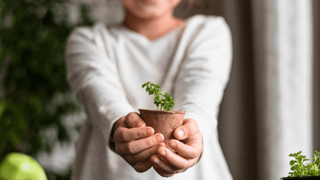 11 nomes inspirados em plantas