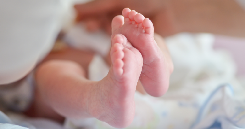 Camila Queiroz e Klebber Toledo apresentam a filha aos pets; veja o momento – Pais e Filhos