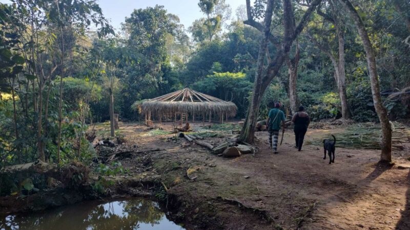 Aldeia Multiétnica Filhos Desta Terra se torna a primeira Reserva de Desenvolvimento Sustentável indígena