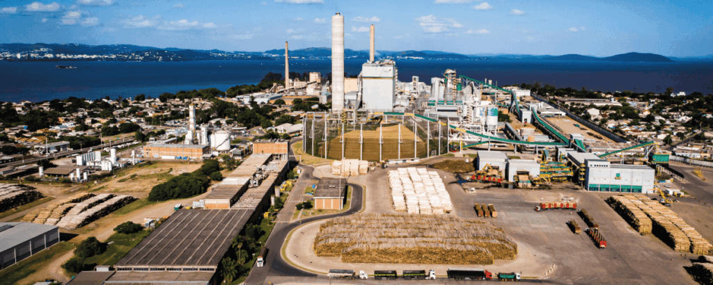 Cimi Regional Sul divulga nota técnica sobre expansão da multinacional CMPC, que ignora direitos indígenas e amplia riscos ambientais